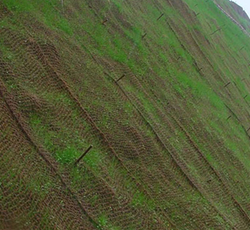 Wire Brush Mats 2